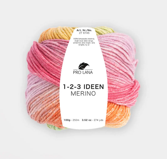 PRO LANA 1-2-3 Ideen merino 100 g