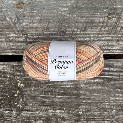 PERFECT Premium Color 100 g
