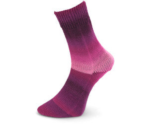 PRO LANA Woolly Hugs Year Socks -sukkalanka 100 g