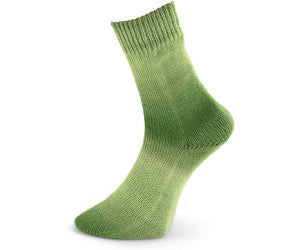 PRO LANA Woolly Hugs Year Socks -sukkalanka 100 g